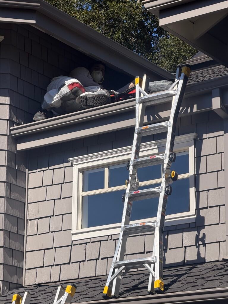 Rodent proofing and sealing roof entry points to prevent rodents from entering the attic in the Bay Area